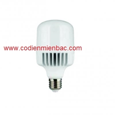 Bóng đèn LED bulb PBCC4065E27